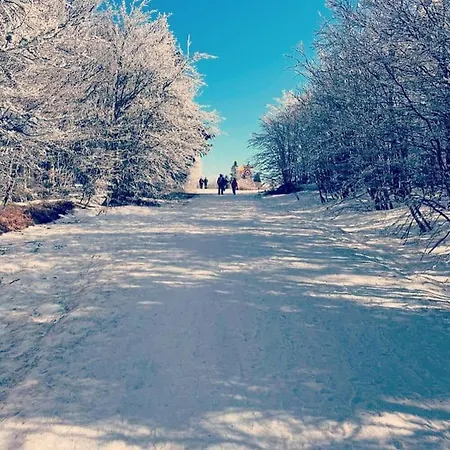 Appt 50m2, 4 Personnes, Menage, Draps Et Serviettes Inclus Lejlighed *